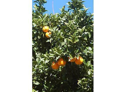 Appartamento Antzomendi Mutriku Esterno foto