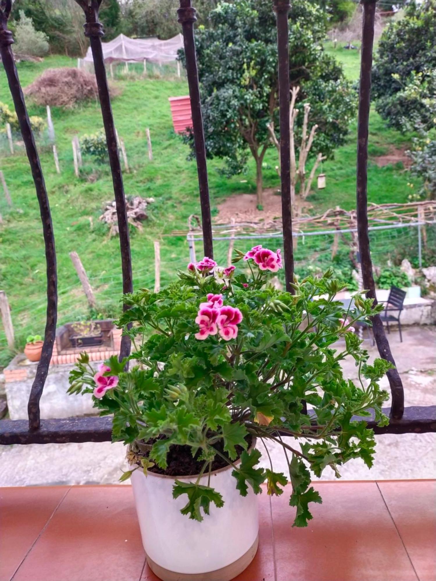 Appartamento Antzomendi Mutriku Esterno foto